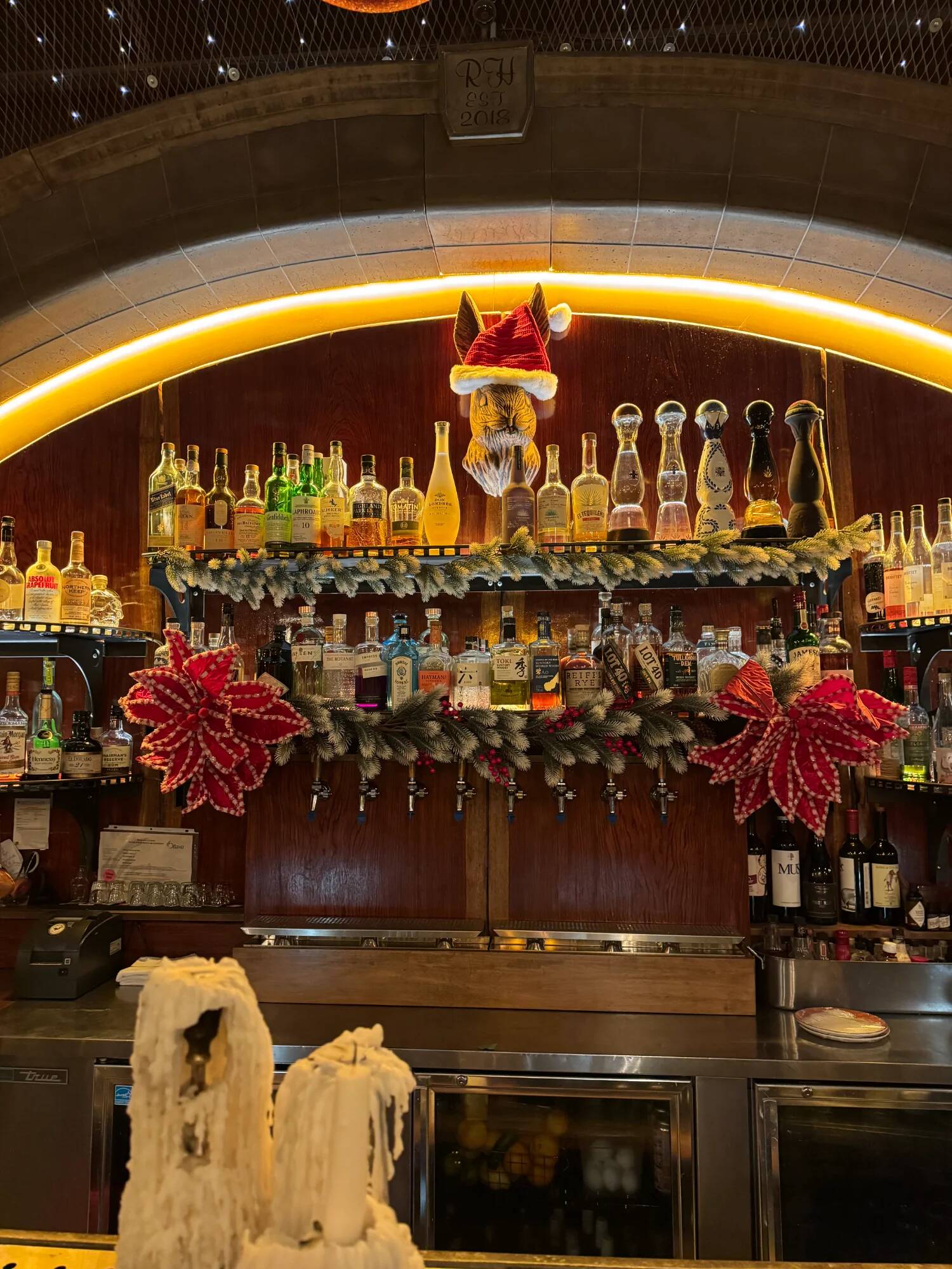 Rabbit Hole - Ottawa 29/12/2025